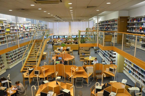 Купить диплом МВШСЭН Шанинка Купить диплом МВШСЭН Шанинка